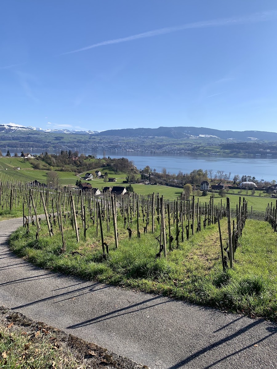 Hallenbad Stägenbuck
