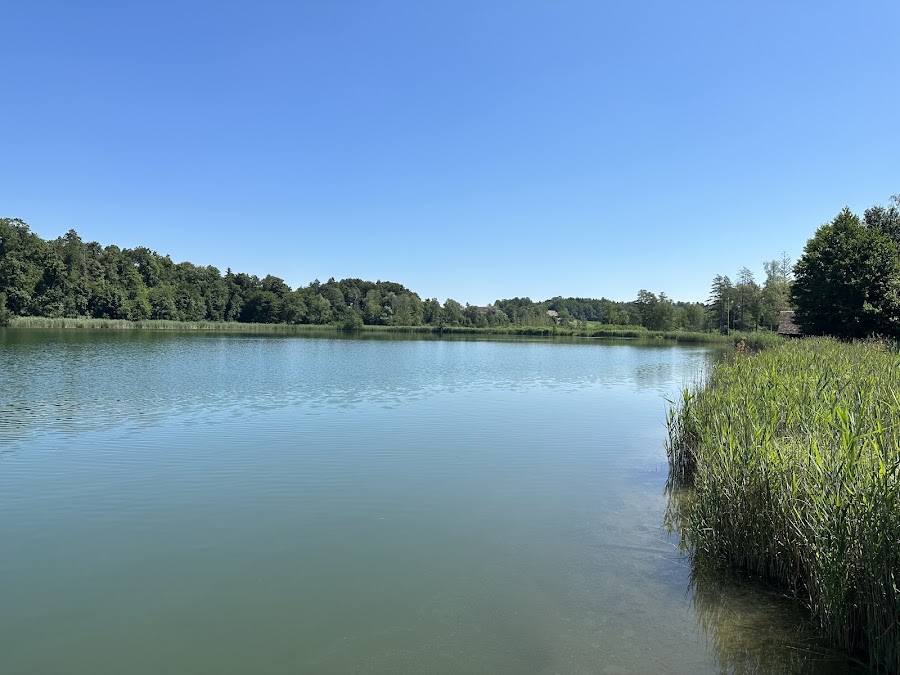 Badesee Husemersee