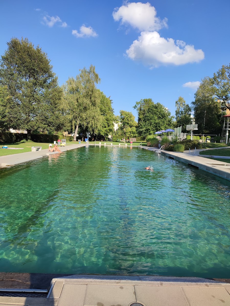 Schwimmbad Im Moos