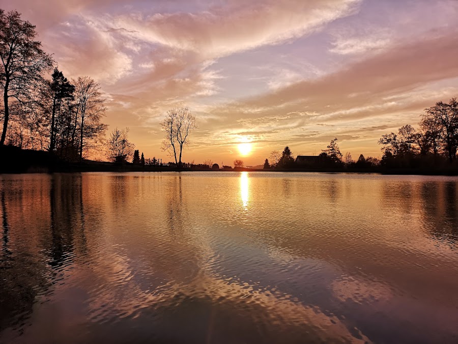 Hedinger Weiher